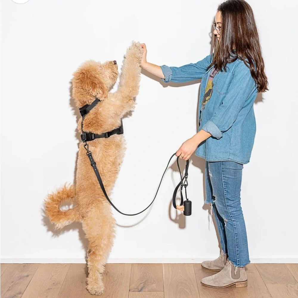 Wild One Waterproof Dog Leash (Standard Size) & Poop Bag Carrier Set - Black
